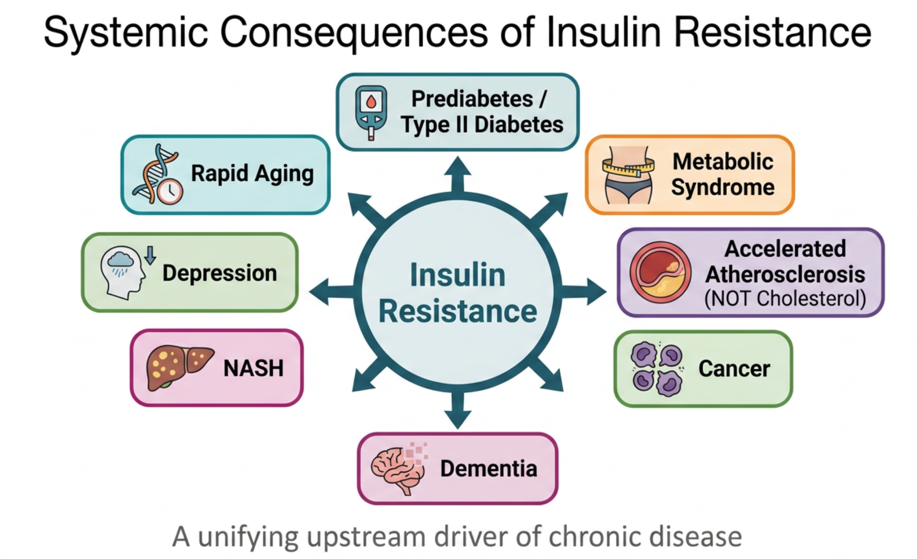Figure 1. Insulin resistance as the central node of modern chronic disease.
