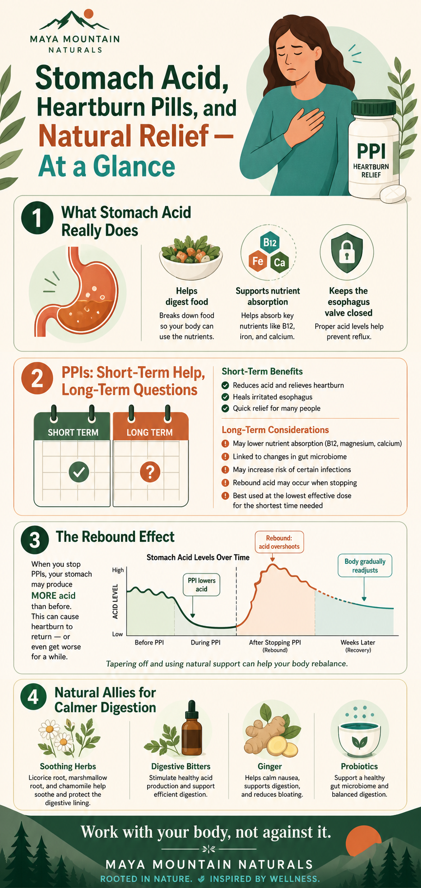 Stomach Acid, Heartburn Pills, and Natural Relief — At a Glance infographic by Maya Mountain Naturals, showing what stomach acid does, short- vs long-term PPI use, the rebound effect, and natural allies for digestion